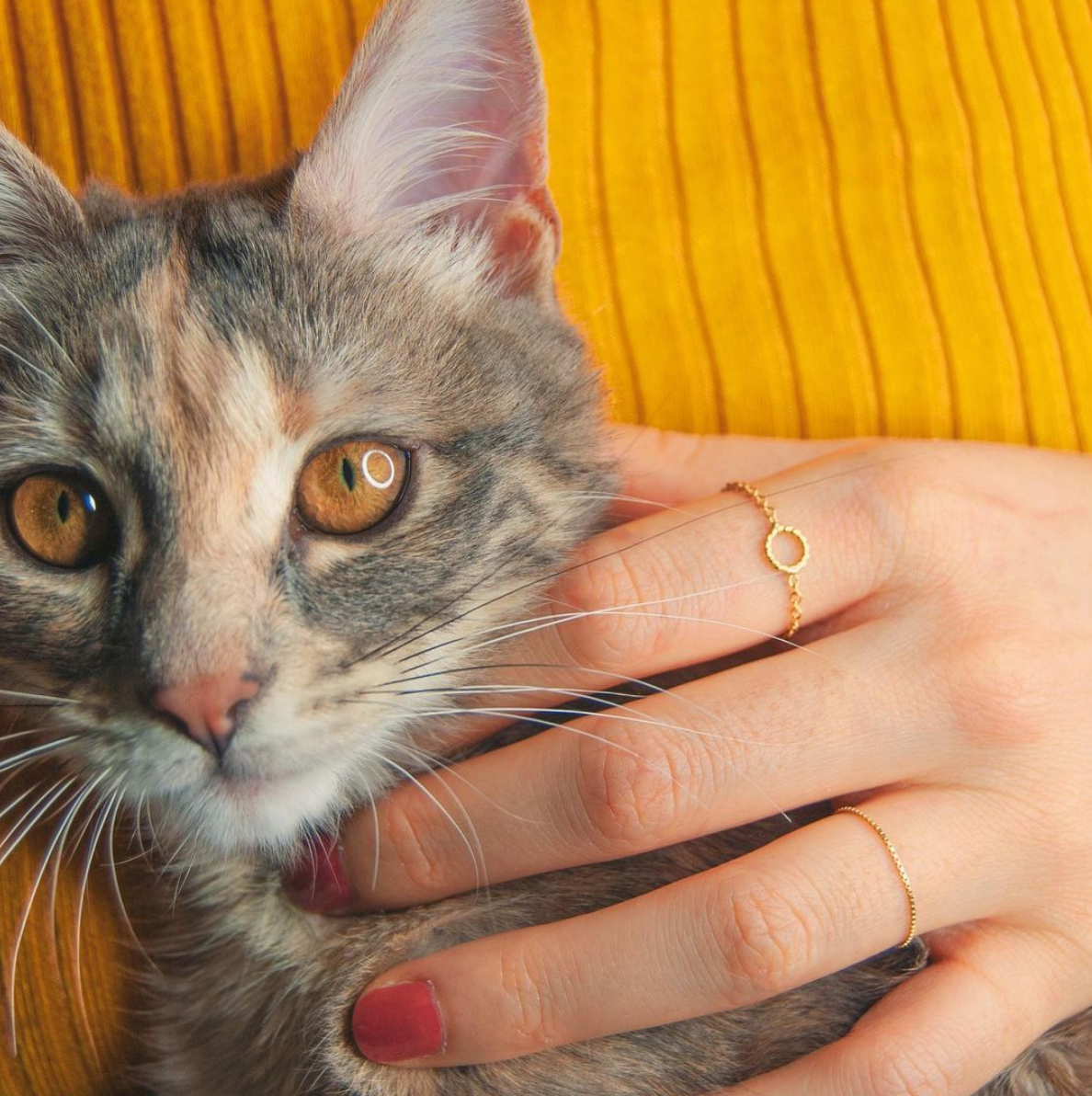 Venezia ring